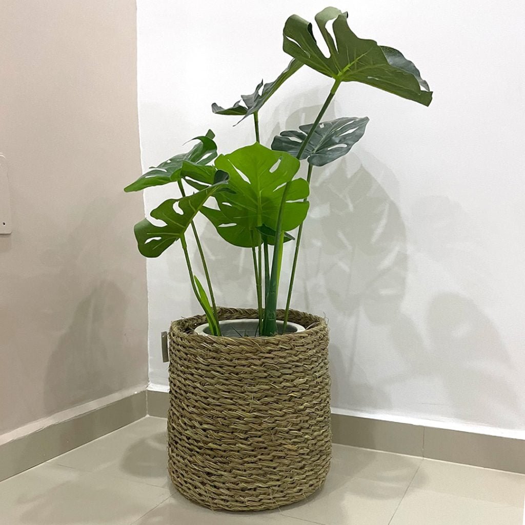 Cache-Pot KUZI